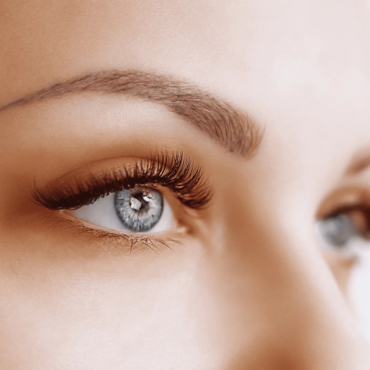Close-up of an eye after lash and brow refinement